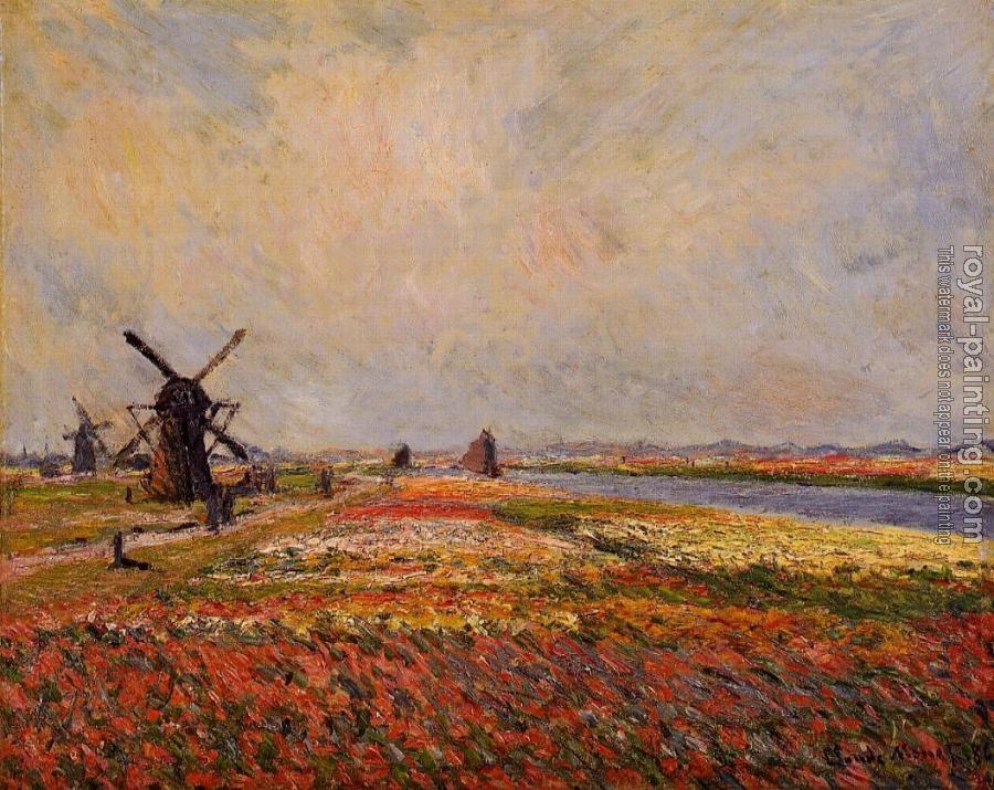 Claude Oscar Monet : Fields of Flowers and Windmills near Leiden